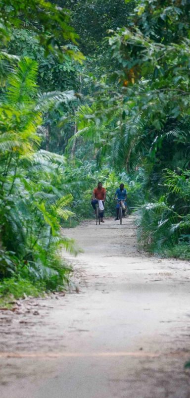A walk in the Singra National Park