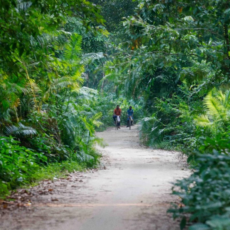 A walk in the Singra National Park